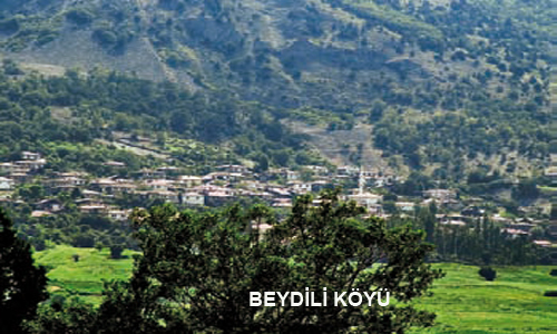 Beydili Köyü Nostalji Videosu