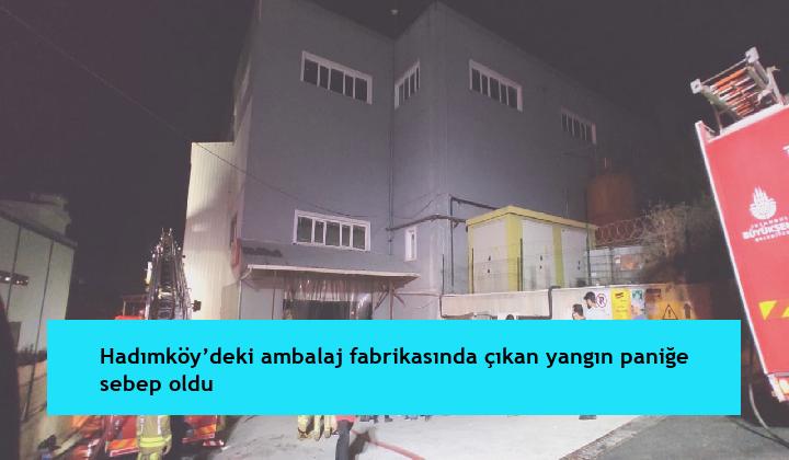 Hadımköy’deki ambalaj fabrikasında çıkan yangın paniğe sebep oldu