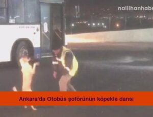 Ankara’da Otobüs şoförünün köpekle dansı