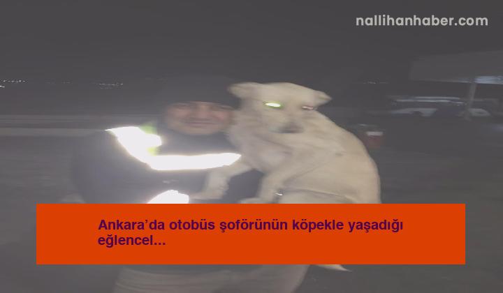 Ankara’da otobüs şoförünün köpekle yaşadığı eğlenceli anlar kamerada
