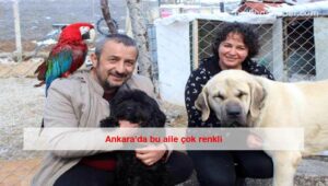 Ankara’da bu aile çok renkli