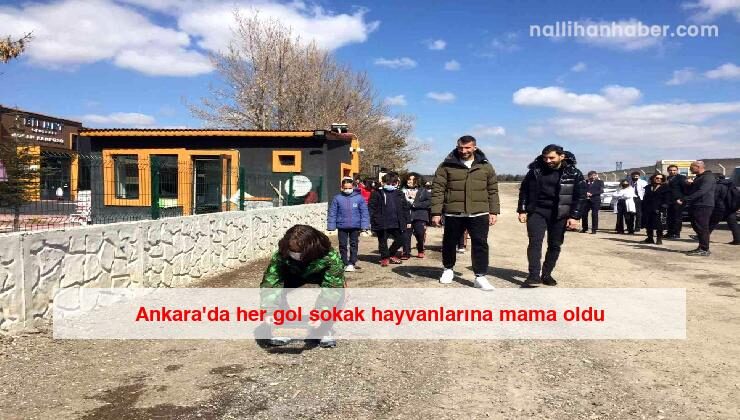 Ankara’da her gol sokak hayvanlarına mama oldu
