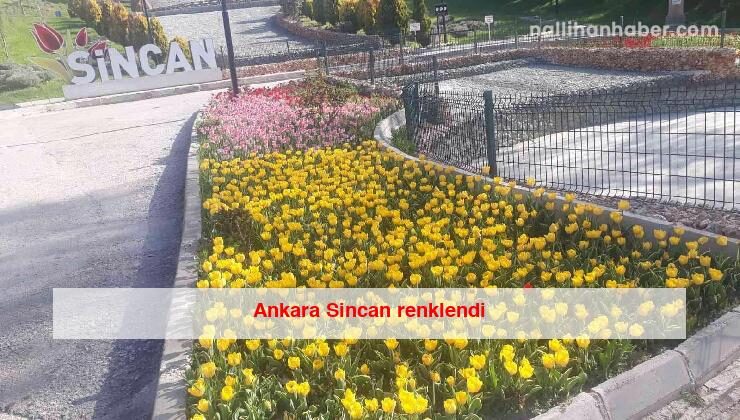 Ankara Sincan renklendi