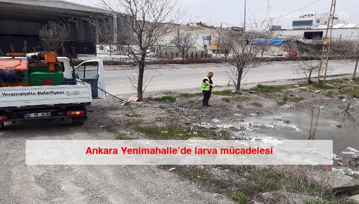 Ankara Yenimahalle’de larva mücadelesi