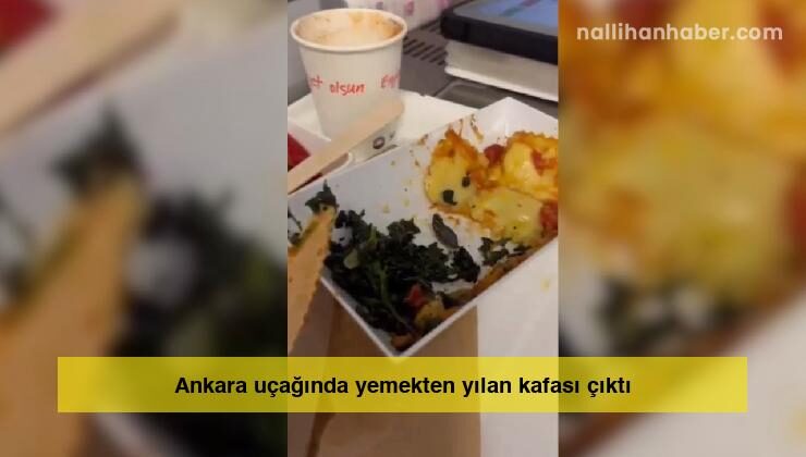 Ankara uçağında yemekten yılan kafası çıktı