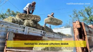 Nallıhan’da afetzede çiftçilere destek